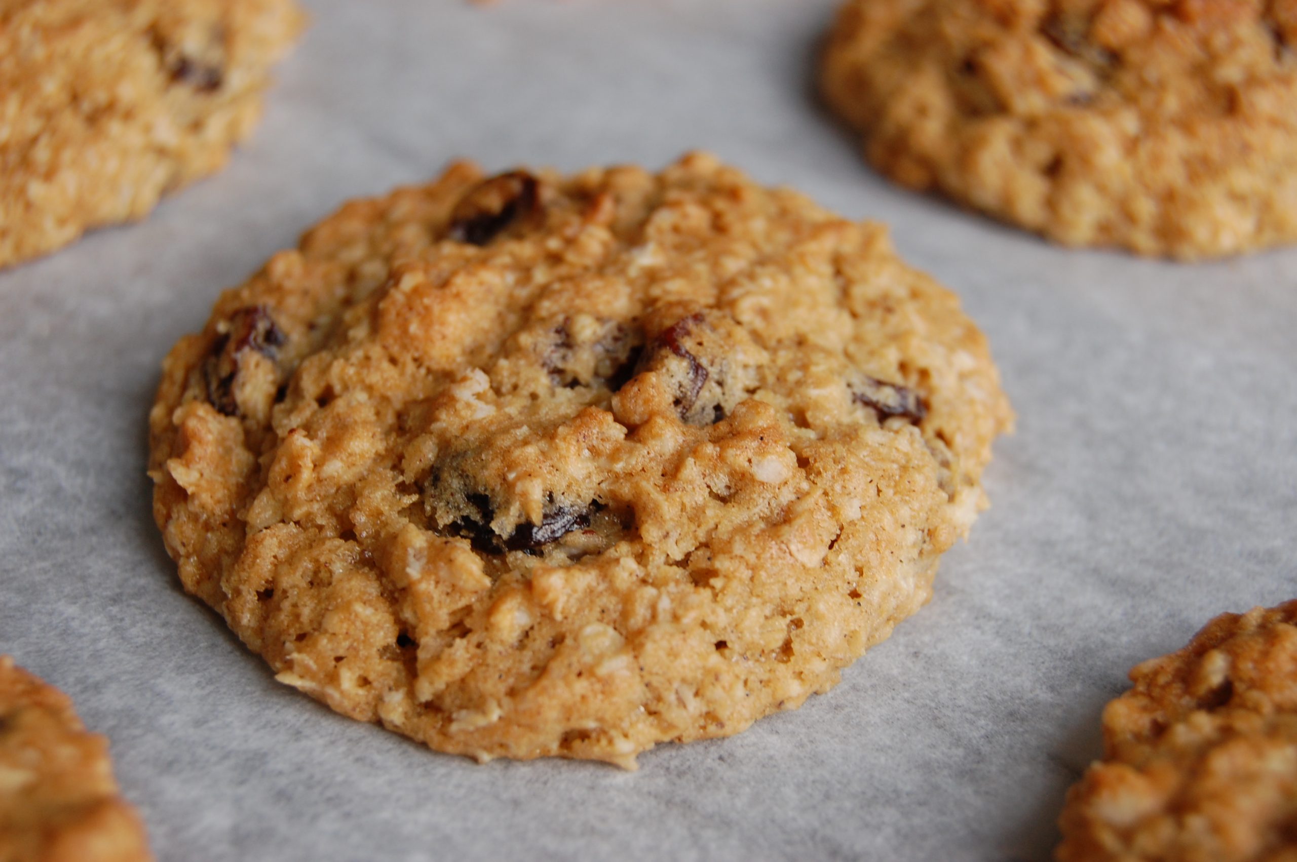 brown cookie with bits of raisins on white paper